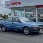 Front Bumper Indicator Lamps (7)