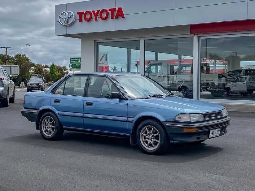 Front Bumper Indicator Lamps (7)