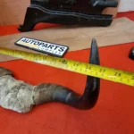 Real Yaak horns8